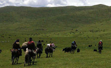 Tibet-Tibet Highland-Highland Expedition in Tibet